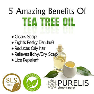 Purelis Tea Tree Oil Shampoo & Conditioner Set, Tea Tree Shampoo + Tea Tree Conditioner for Deep Cleansing & Hydrating - ardenorganics.com