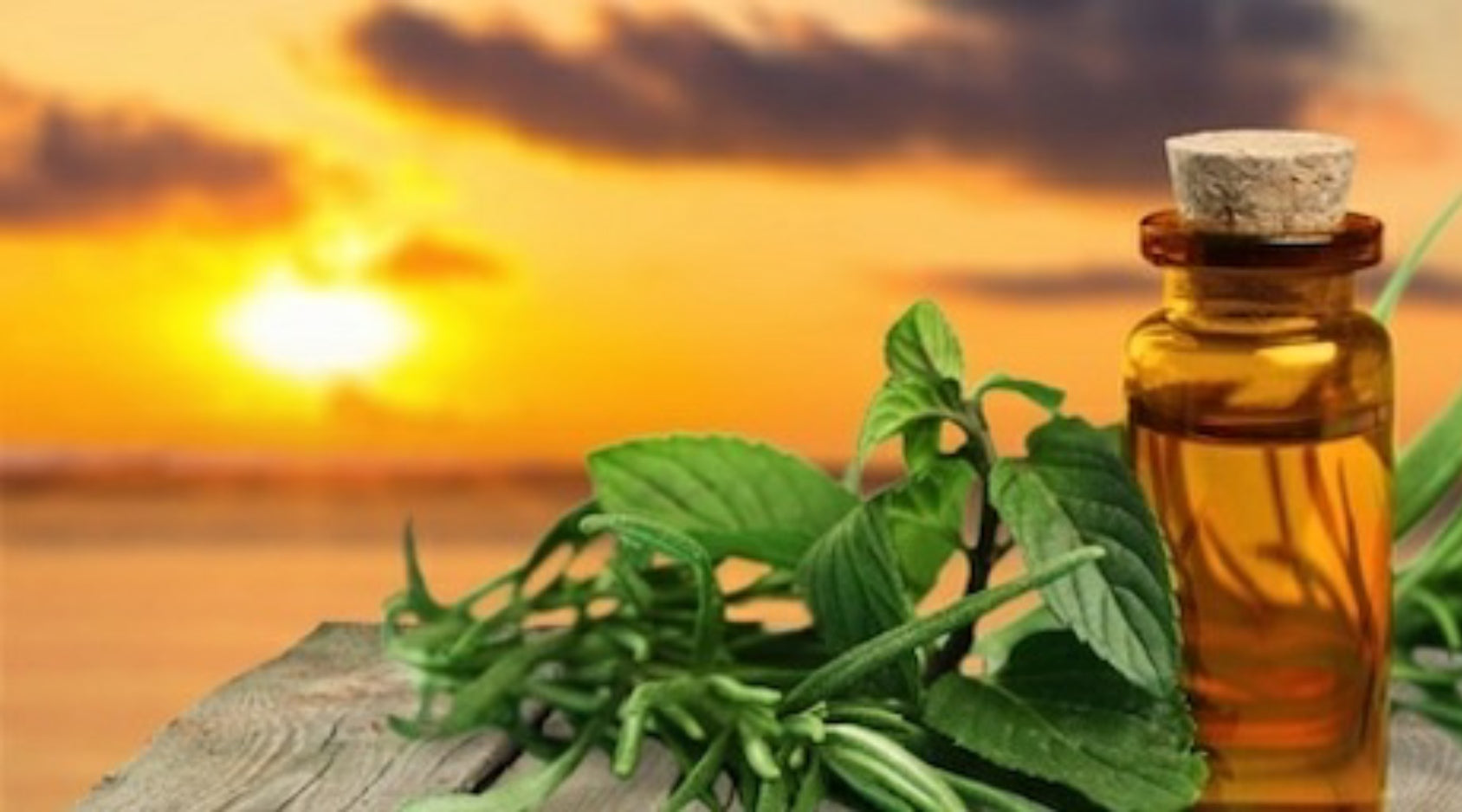 Using Essential Oils In The Summer