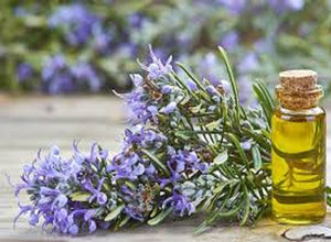 Rosemary Oil for Skin Care